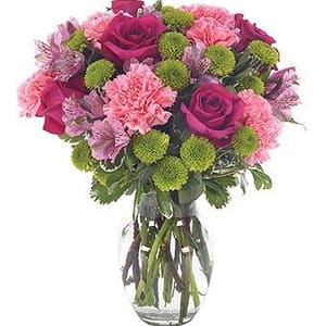 Pinky Purple in Green