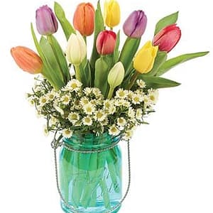 Tulip in Mason Jar