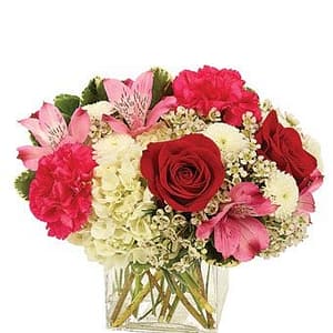 Love in Bloom