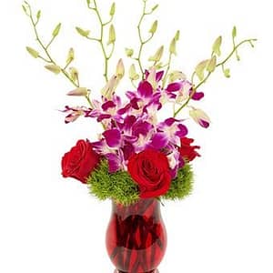 Brilliant Orchid Bouquet