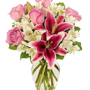 Stargazer Lily Flora