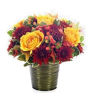 Autumn Garden Blooms