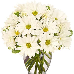 Pushing Daisy Bouquet