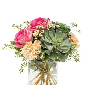 Superb Succulent Arrangement