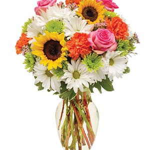 Flowers in Spring