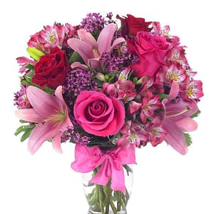 Rose & Lily Celebration