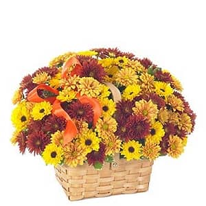 Fresh Daisy Bouquet