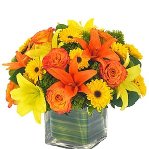 Lovely Lily & Rose Arrangement