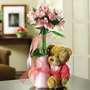 Cuddle Up & Get Well Bundle