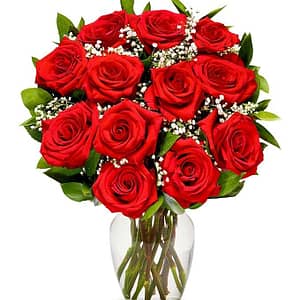 One Dozen Long Stemmed Red Roses