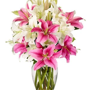 Lilies in Pink and White