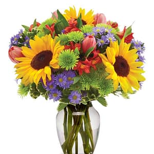 Sunflower Garden