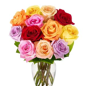One Dozen Roses in Variety