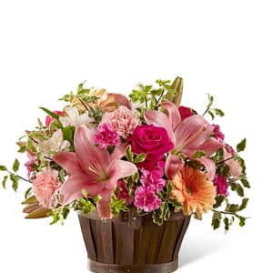 Lily Garden