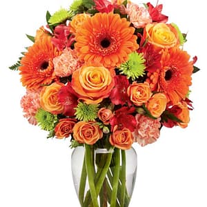 Vibrant and Bright