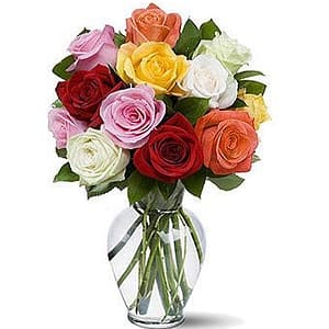 Mixed Colorful Roses