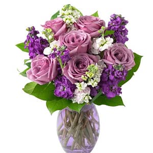 Lavender Devotion