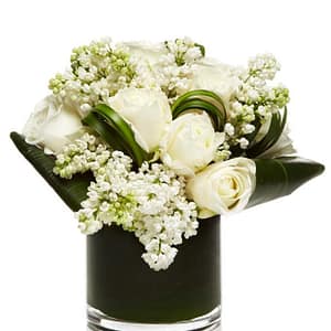 Ivory White