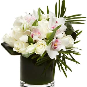Stunning Roses & Orchids
