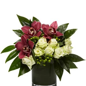 Burgundy and Emerald Wonders