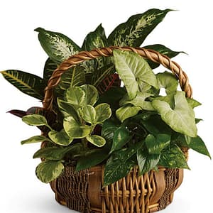 Lighted Garden Basket