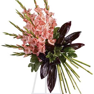 Elegant Tribute Spray