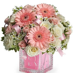 Baby's First Gift- Pink