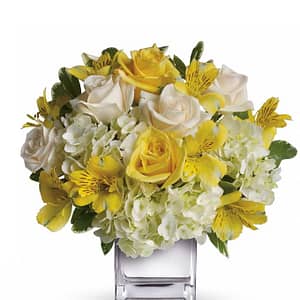Yellow roses, crème roses and other favorites in a sleek silver cube vase
