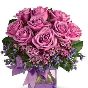 Purple Flora Melody