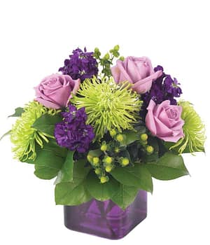 Purple Present