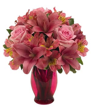 Bright and Beautiful