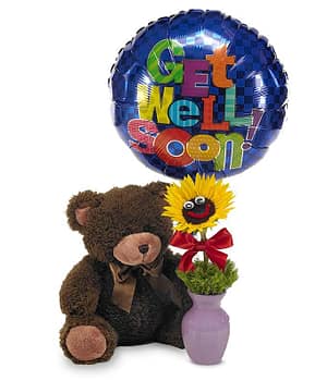 Cuddle Up & Get Well Bear