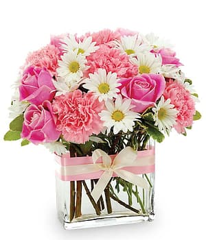 Pink on White Flora