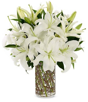Simply Lily - White