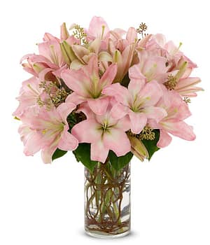 Stunning Pink Lilies