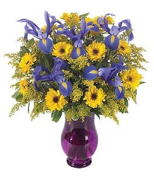The Iris and Sunshine Bouquet