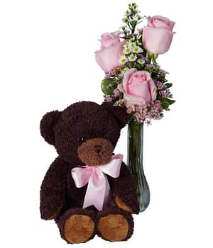 Beary Pink for You