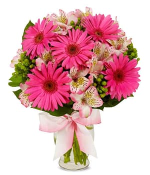 Pink Gerbera with Daisy Bouquet