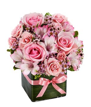 Perfect Pink Rose Gift