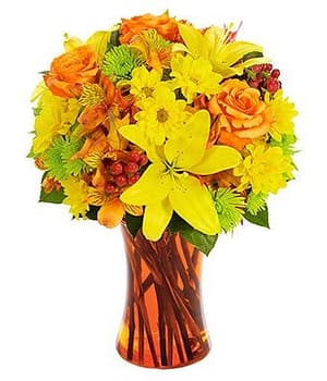 Orange Fall Goodness
