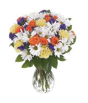 Tropical Daisy Delight
