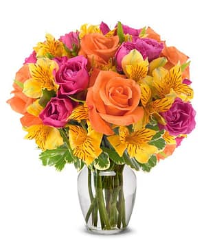 Hot Pink Roses in Yellow Alstro