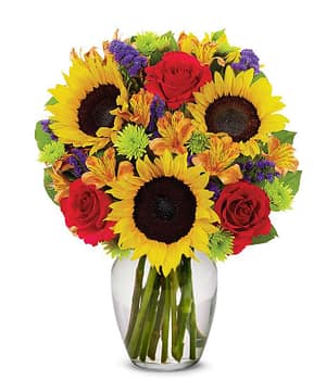 Sunflower Delight
