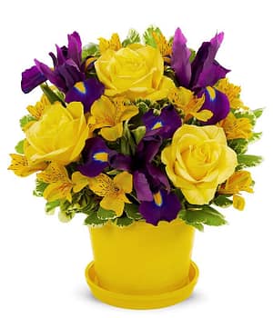 Bushel Full of Sunshine