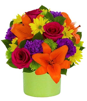Celebrate in Colorful