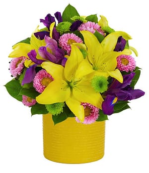 Shimmering Summer Surprise