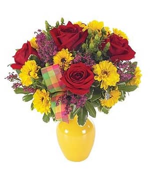 Yellow Daisy and Red Rose Sunshine