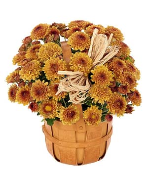 Autumn Mum Basket