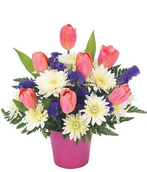 Tulip Delight