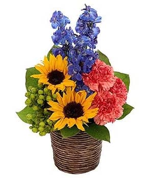 Sunflower Fresh Field Bouquet